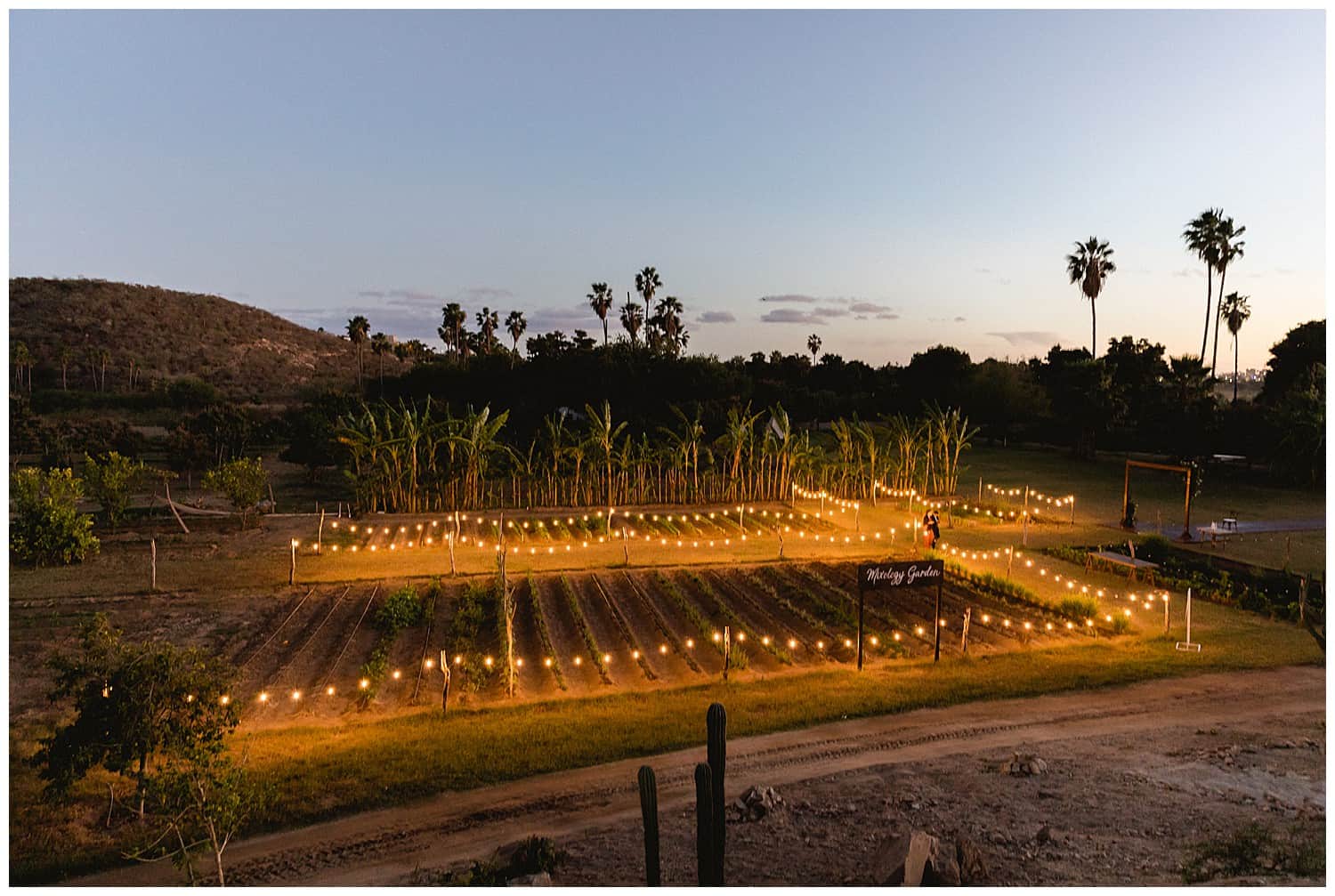 los-tamarindos-wedding-cabo-wedding-photographer-sara-richardson-photography_1293